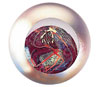 Link to Mars Paperweight by Glass Eye Studio